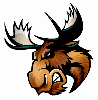 cconseaman Avatar