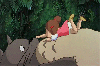 xMasterofpuppetsx Avatar