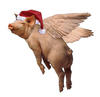 siggythepiggy Avatar