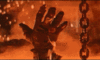 ocelot Avatar