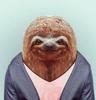 twistedtheturtle Avatar