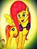 djflutterdash Avatar