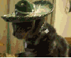 legionier Avatar