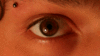 thexantipop Avatar