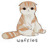 eatwaffles Avatar