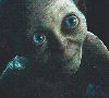 smeagollum Avatar