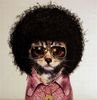 TheAppmaker Avatar