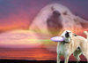 sniperdawg Avatar