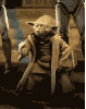 elifj Avatar