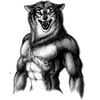TheRedWolfBackup Avatar