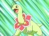 meganium Avatar