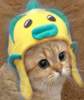 replacer Avatar