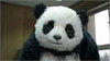 alvaroxd Avatar