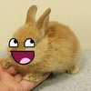 RunnyBabbit Avatar