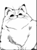 SilentFroD Avatar