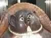 suckmyfatcock Avatar