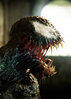 gotbannedicusvile Avatar
