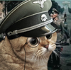 obeyweegee Avatar