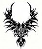 PhoenixD Avatar