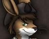 lackadaisy Avatar