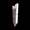 thatbrownkiid Avatar