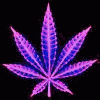 BigSxy Avatar