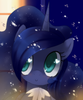 crazysexyhorse Avatar