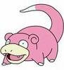 Slowpok Avatar