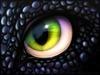 dragonette Avatar