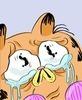 carchub Avatar