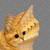 catblaster Avatar