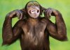 Chango Avatar