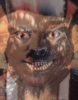 slothcarecenter Avatar