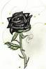 sweetthorn Avatar