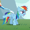 rainbwshypinkietwi Avatar