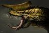 dragonhorn Avatar