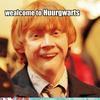 HollyWobbles Avatar