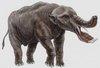 platybellodon Avatar