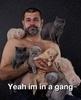 cavemanlittle Avatar