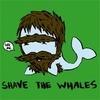 shavethewhales Avatar
