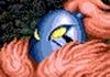 superffuzzylogik Avatar