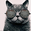 epicburana Avatar