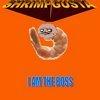 shrimpgusta Avatar