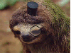 xXScrappyJrXx Avatar