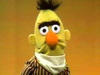 ogmudchicken Avatar