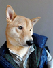 themormanbear Avatar