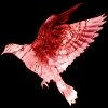 AcerbicSleight Avatar