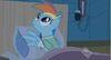 imxsoxfluffy Avatar
