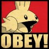 Mudkipz Avatar