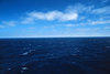 ebb Avatar